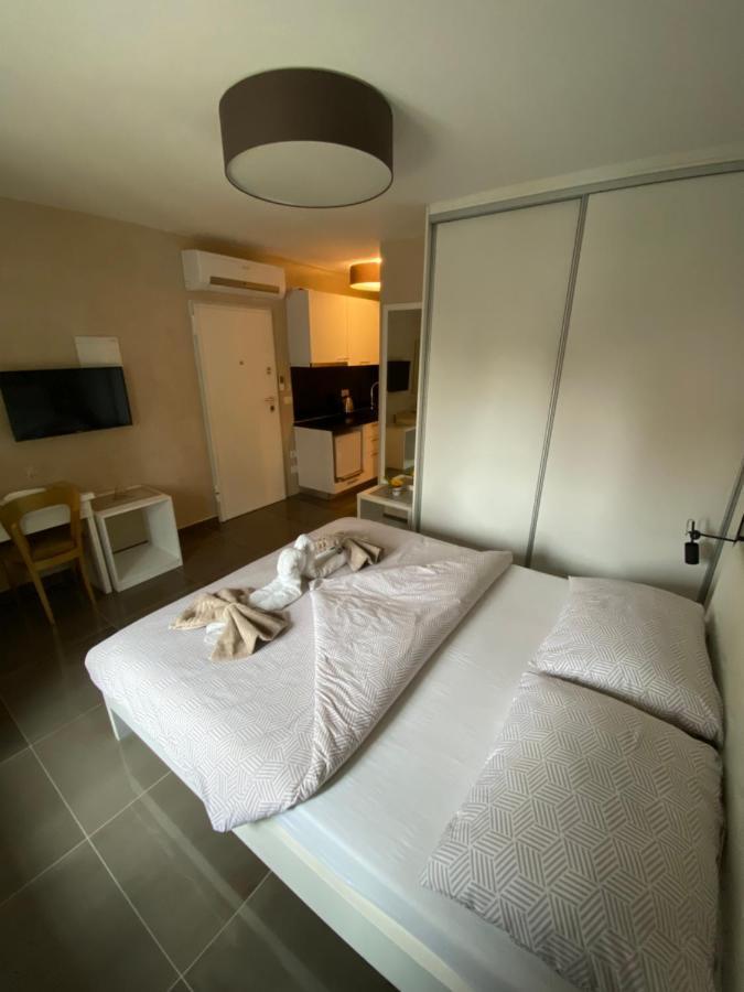 Villa Jessica Novigrad Istria Εξωτερικό φωτογραφία